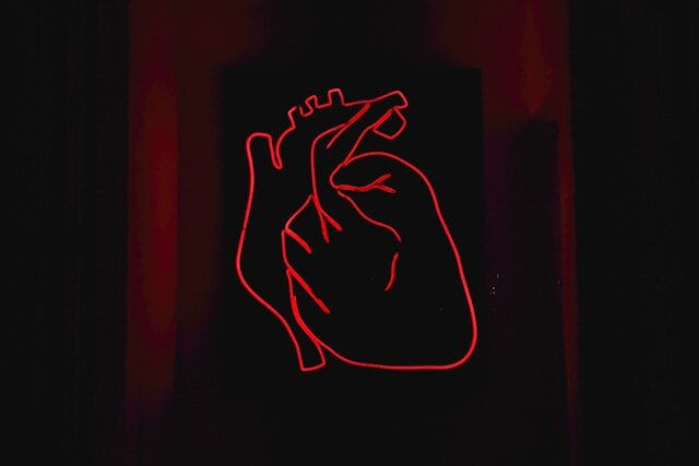 alexandru-acea-RQgKM1h2agA-unsplash